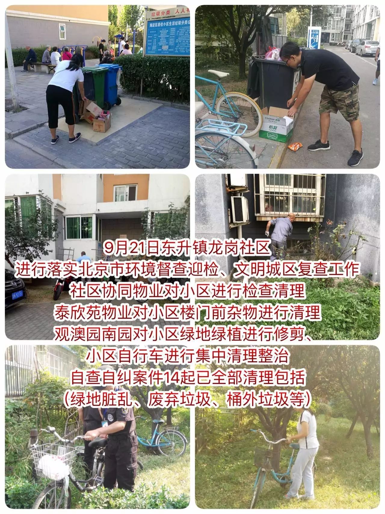 莒南最新招聘，小巷深处的职业发现之旅