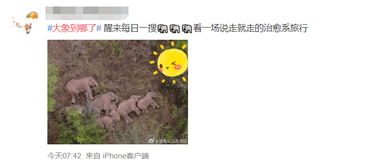 销售燃料油 第138页