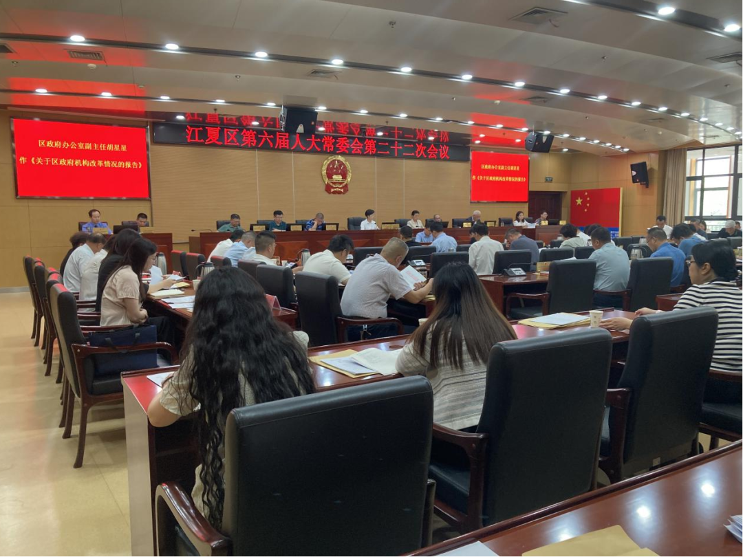 中国最新人事任免动态解析及影响