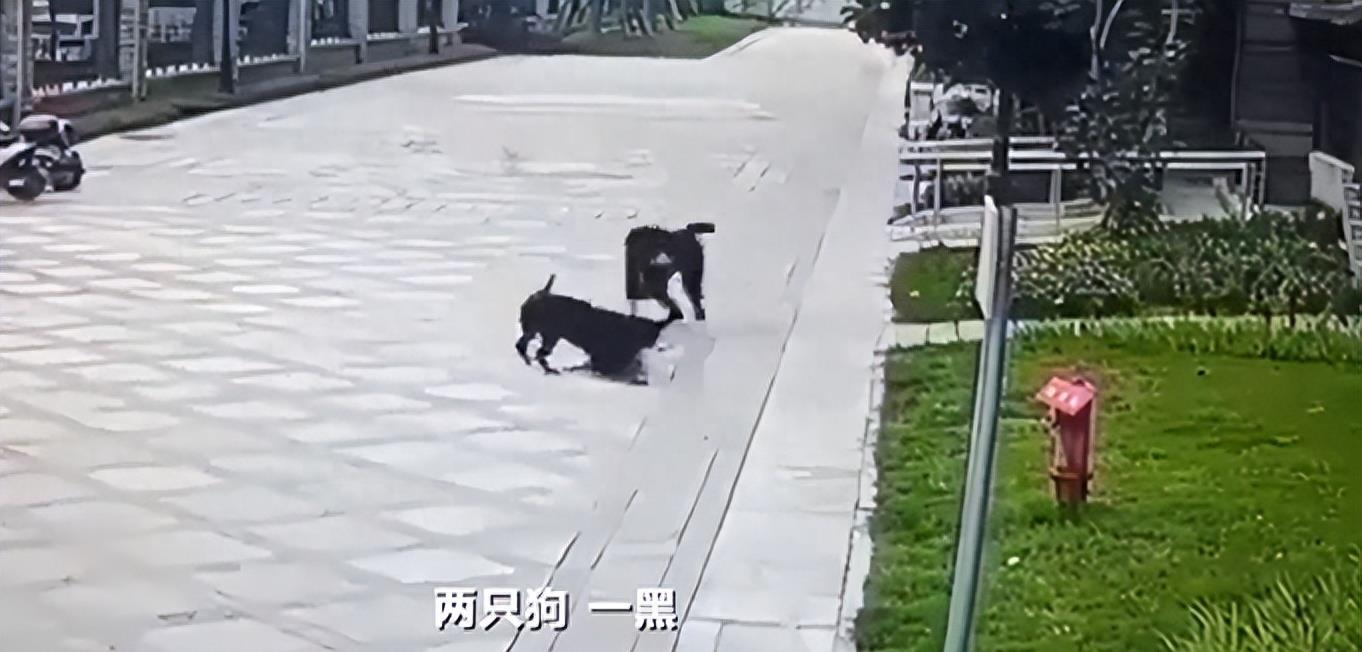 销售燃料油 第37页