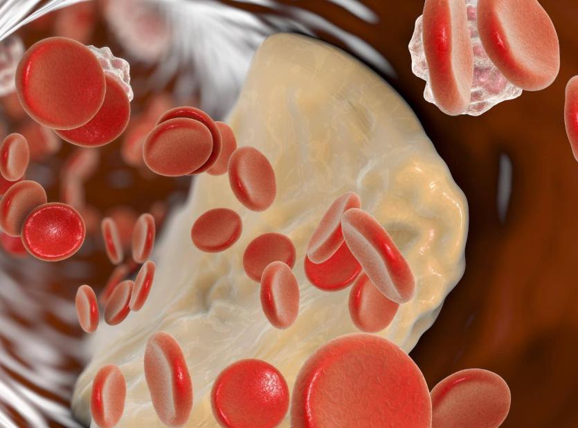 世界治疗脱发最新进展及其观点论述摘要