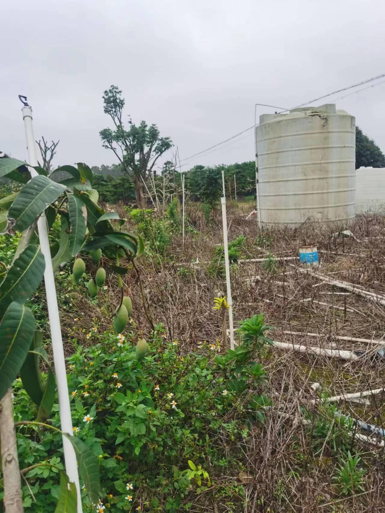 吴川市公路最新规划图详解,初学者与进阶用户的步骤指南