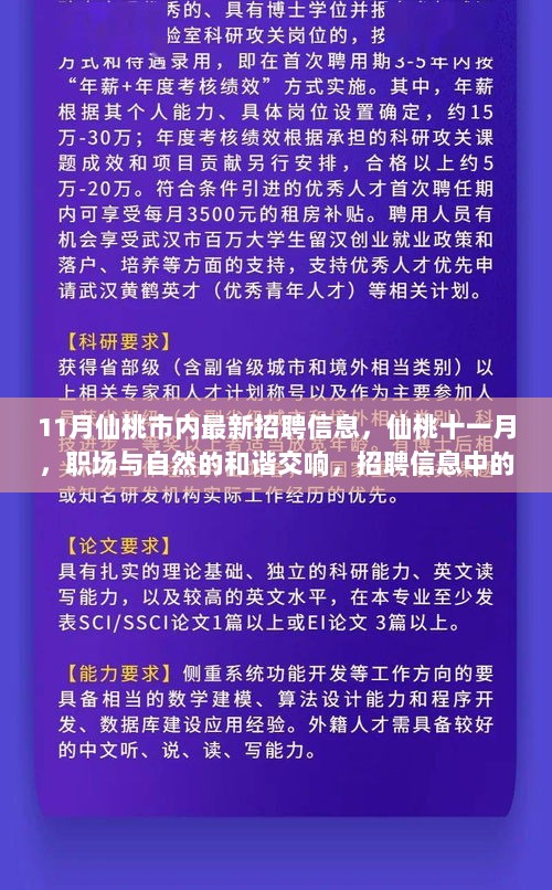 仙桃市最新招聘启事与求职全攻略揭秘