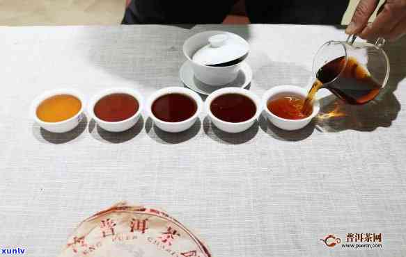 与自然美景邂逅,揭秘2007年大益普洱茶最新价格