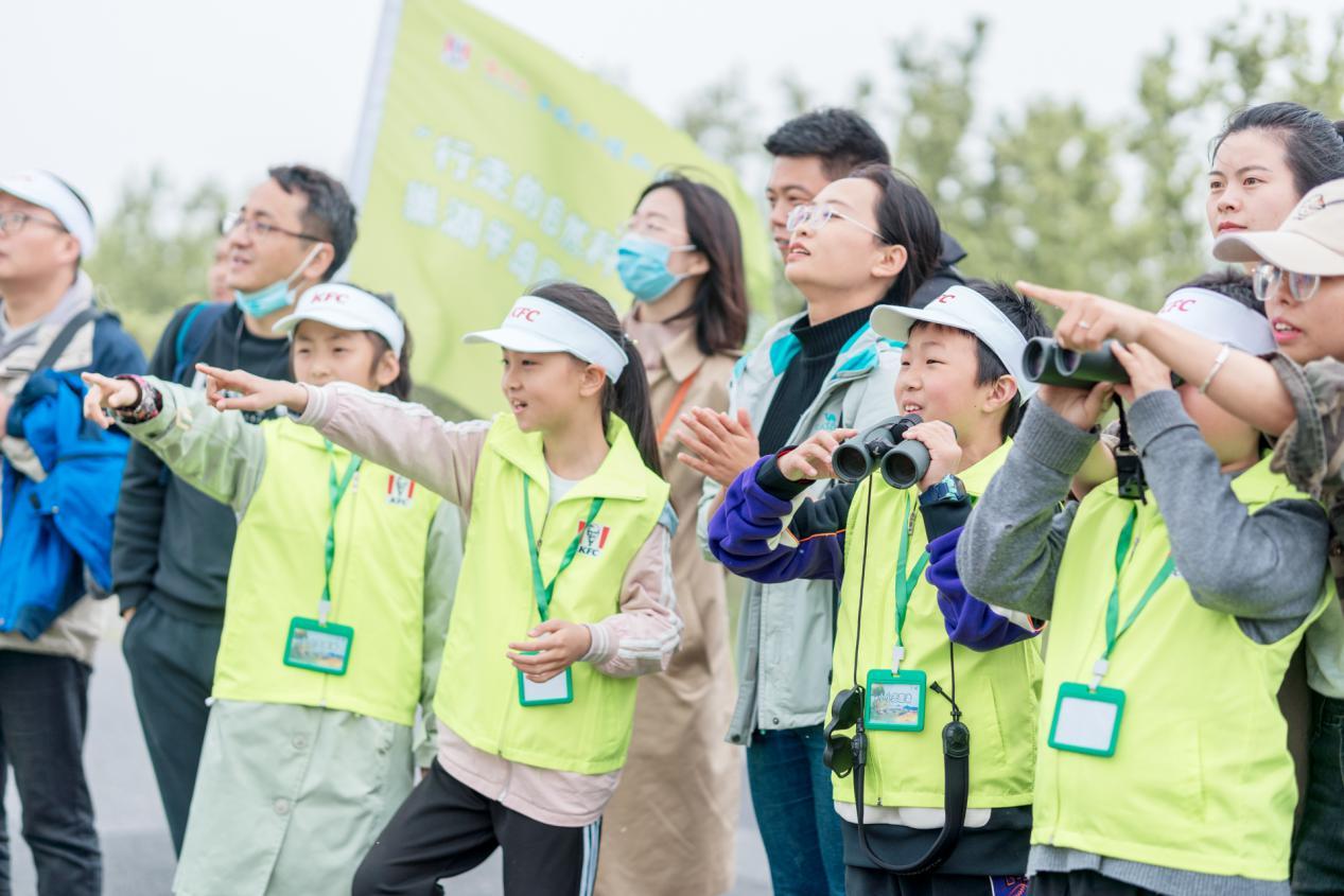 最新一期节能产品清单,与自然和谐共舞,探寻内心宁静的节能乐章