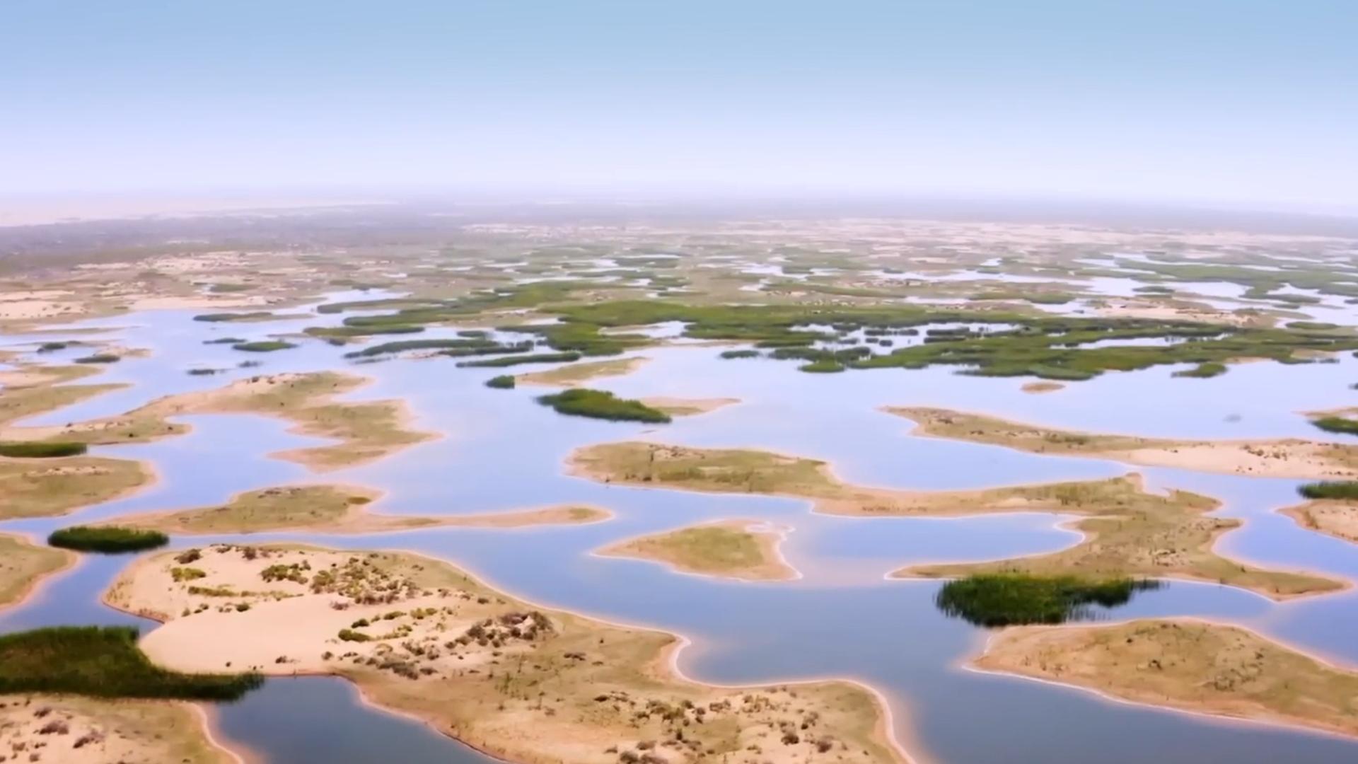 最新一期节能产品清单,与自然和谐共舞,探寻内心宁静的节能乐章