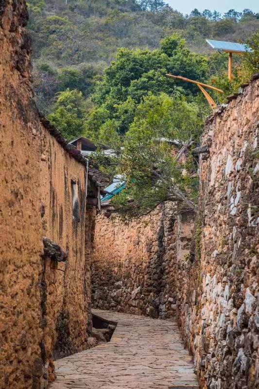 最新赚钱秘籍揭秘,小巷深处的宝藏小店