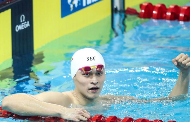 孙杨案最新结果,心灵与自然的奇妙旅程揭晓