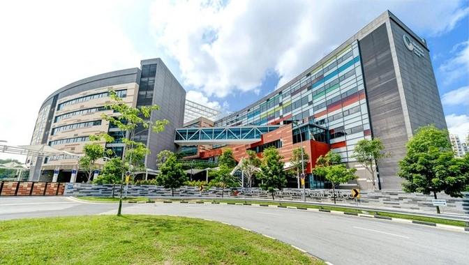 新加坡最新经济概览,最新动态与发展分析