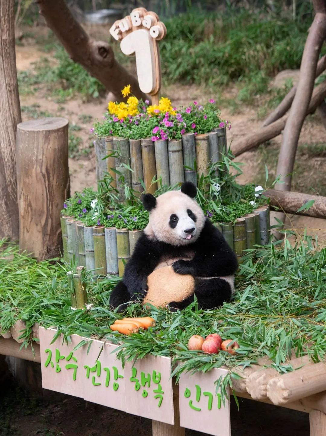 温馨日常故事,最新故事,你都能听到