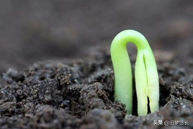 最新土丙3,背景、重大事件与时代的地位见证