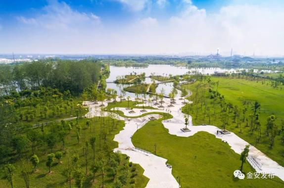 金安区最新发展论述概览