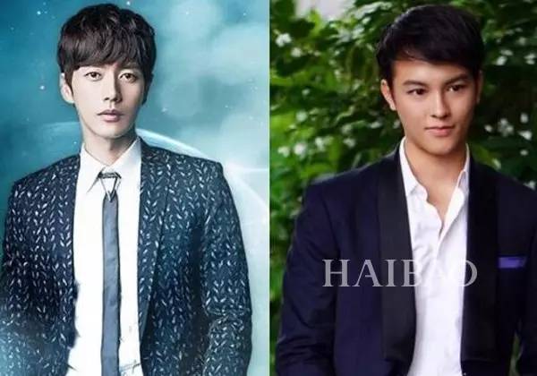 演员林豪,演艺之路的闪耀之星