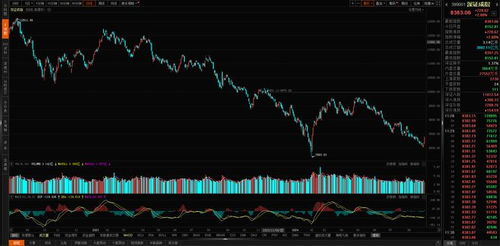 揭秘热门股票600810行情深度解析,投资机遇与挑战!