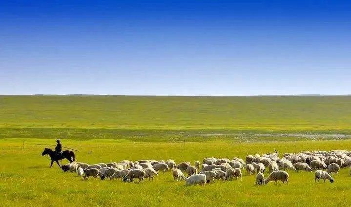 最新草原法全文,自然美景的探索之旅开启