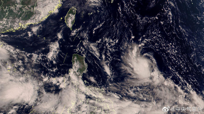 最新关于台风十六号的消息更新