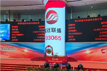 联盛集团最新消息与步骤指南揭秘