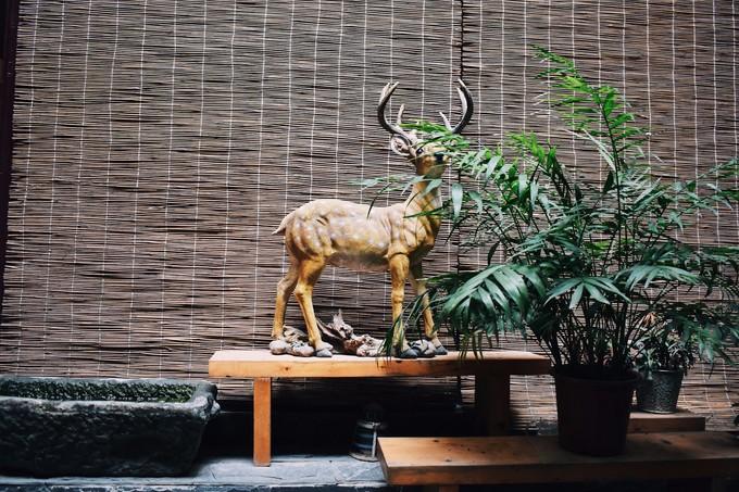 韩国与朝鲜最新动态，小巷深处的独特风情与一家魅力十足的特色小店