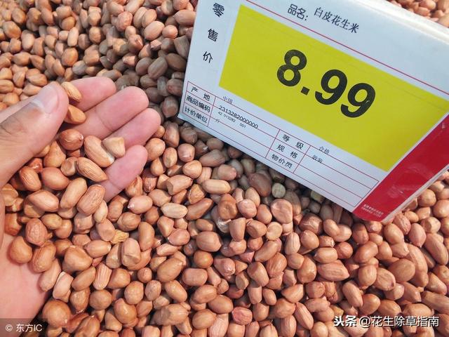 山东花生米价格实时更新与最新行情分析