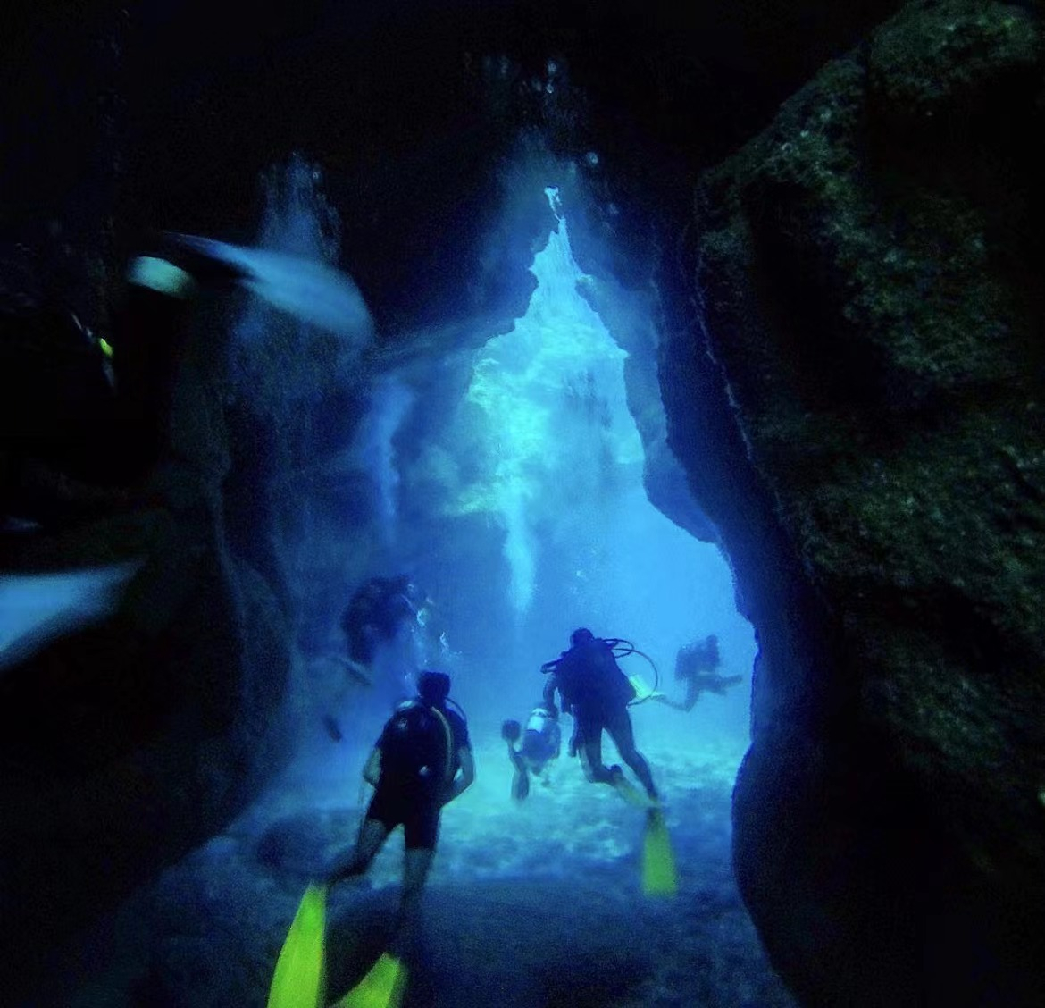 深入探索之旅,最新潜入揭秘未知世界