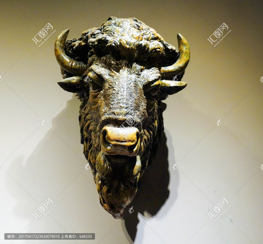 牛头最新视频观点论述,深度解析与探讨