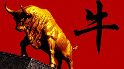 牛头最新视频观点论述,深度解析与探讨