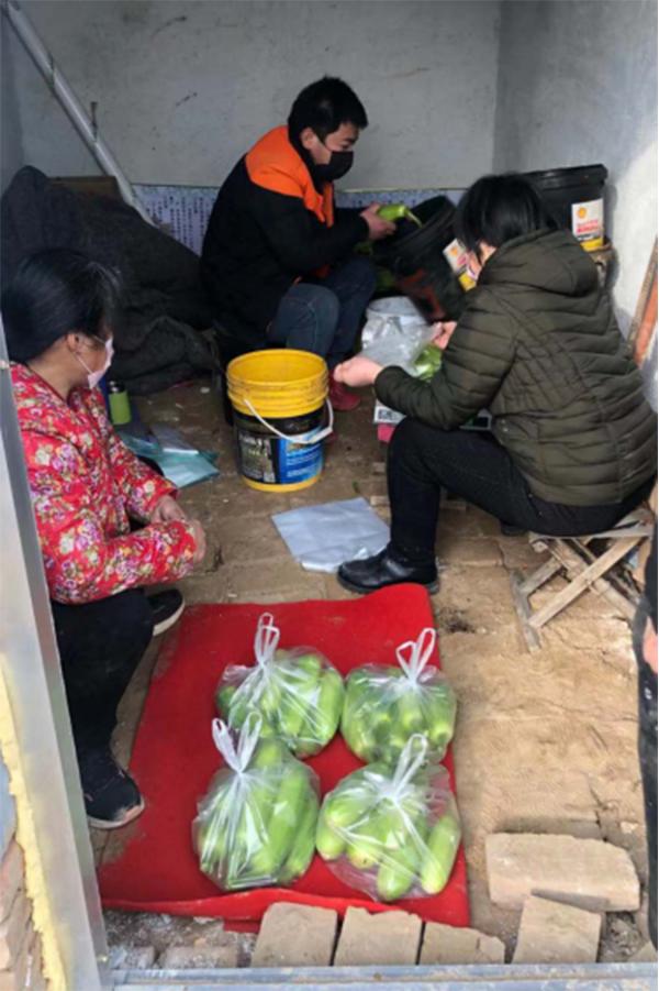 蔬菜最新行情,自然探索之旅,寻求内心宁静与平和