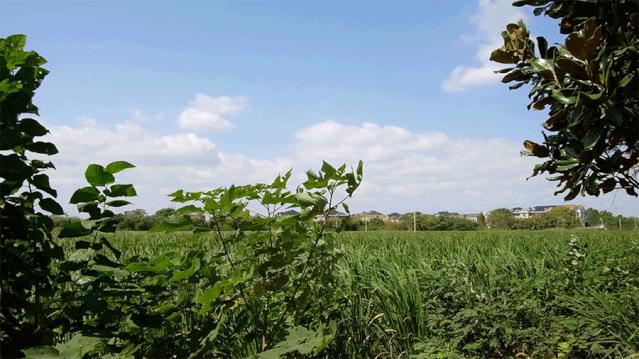 追热剧最新电视剧,视觉与情感的盛宴开启!