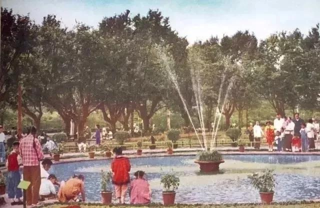 🌟上海车牌保留最新规定解读✨