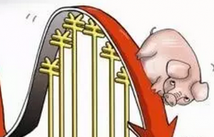 最新生猪价格走势深度分析与评价