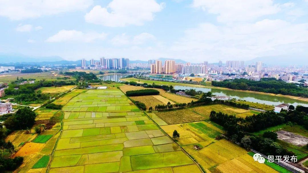 恩平御锦珑湾最新动态,市场热议焦点,房地产最新资讯速递