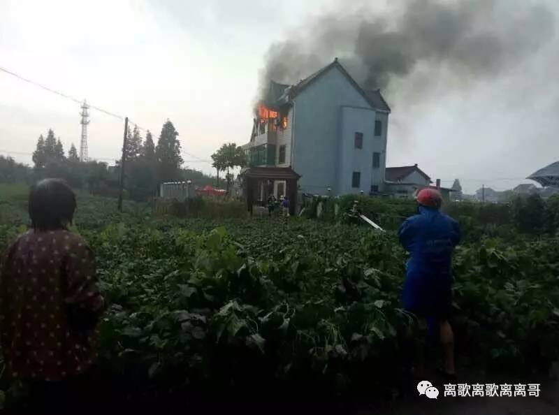 上海金山新闻最新消息,小金山里的温情日常揭秘