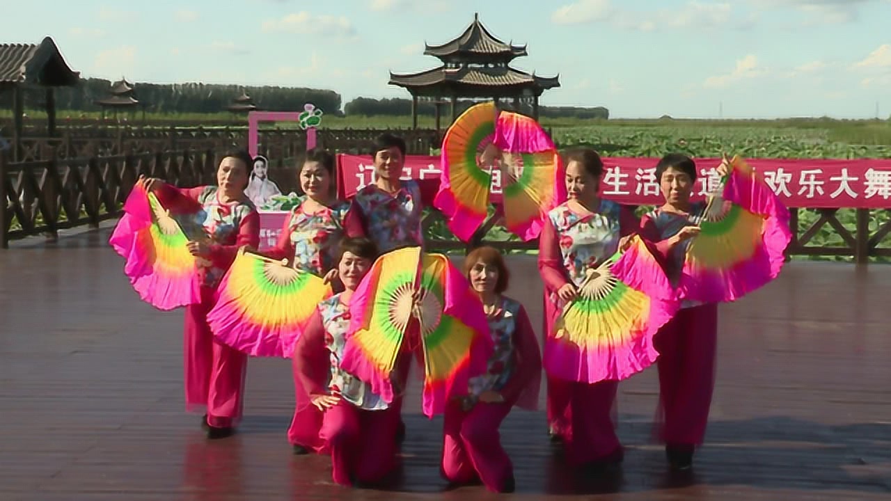 最新扇子舞广场舞大全,文化现象的深度解读与探讨