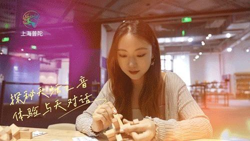 天音网络最新动态,温馨日常与奇妙网络冒险之旅