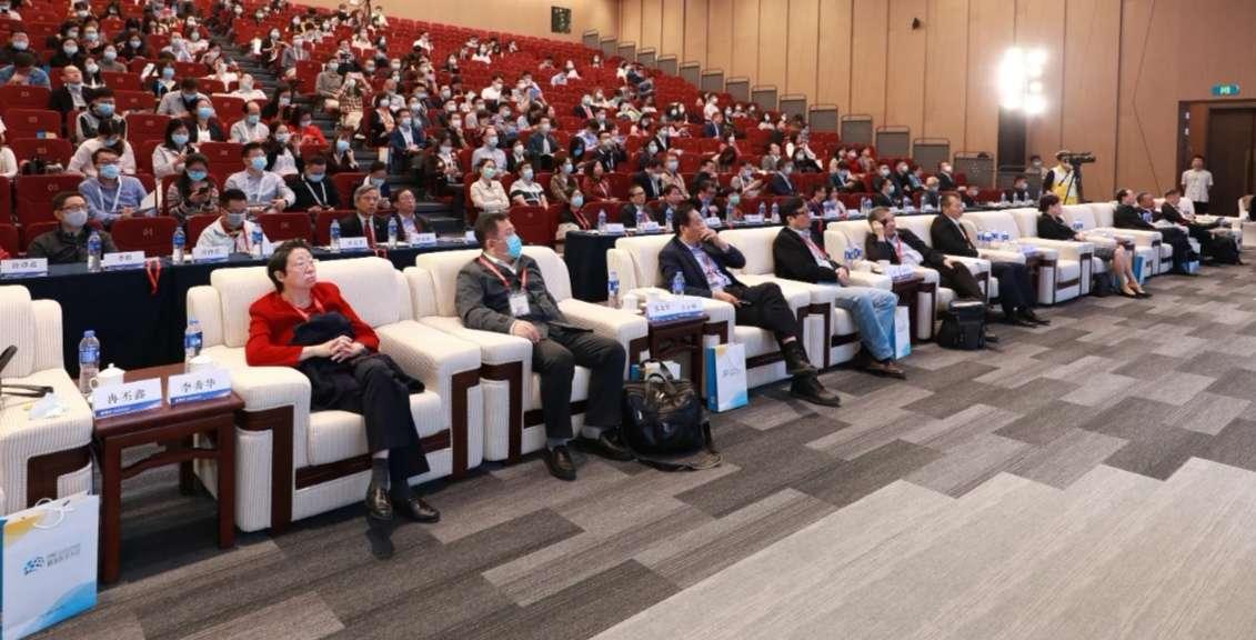 世界最新医学真相揭秘,真假探讨与观点深入剖析