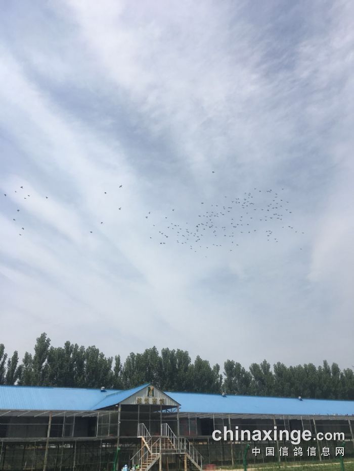 北京铭悦公棚最新公告,自然美景探索之旅邀请