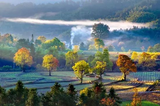 哦叉叉视频,自然美景旅行指南与最新地址揭秘