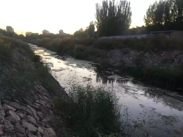 中宁县最新动态,任务指南与技能学习步骤全解析