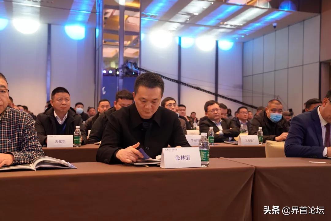 界首颖南区域发展多维视角深度解析,最新消息与动态展望