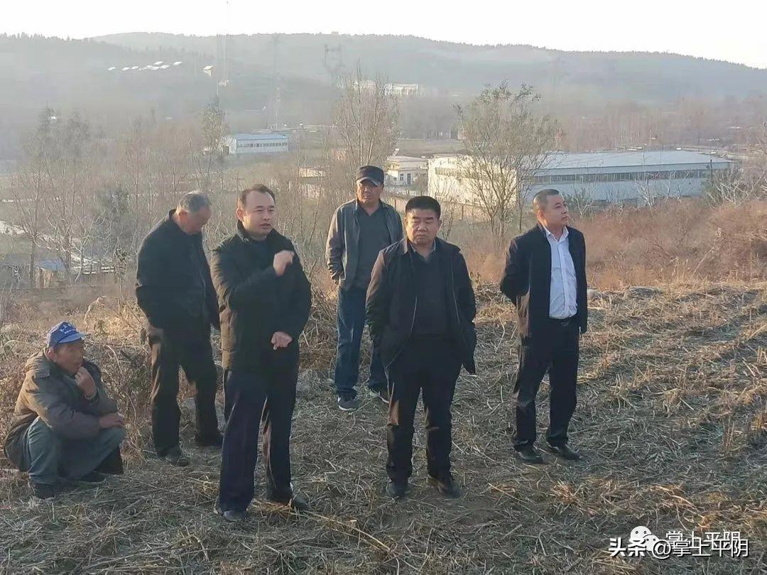 莱芜房价房源最新消息,科技引领,智能探索新莱芜房价时代