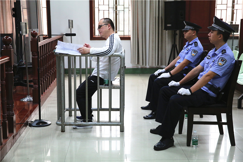 陈向华最新动态及相关观点深度解析