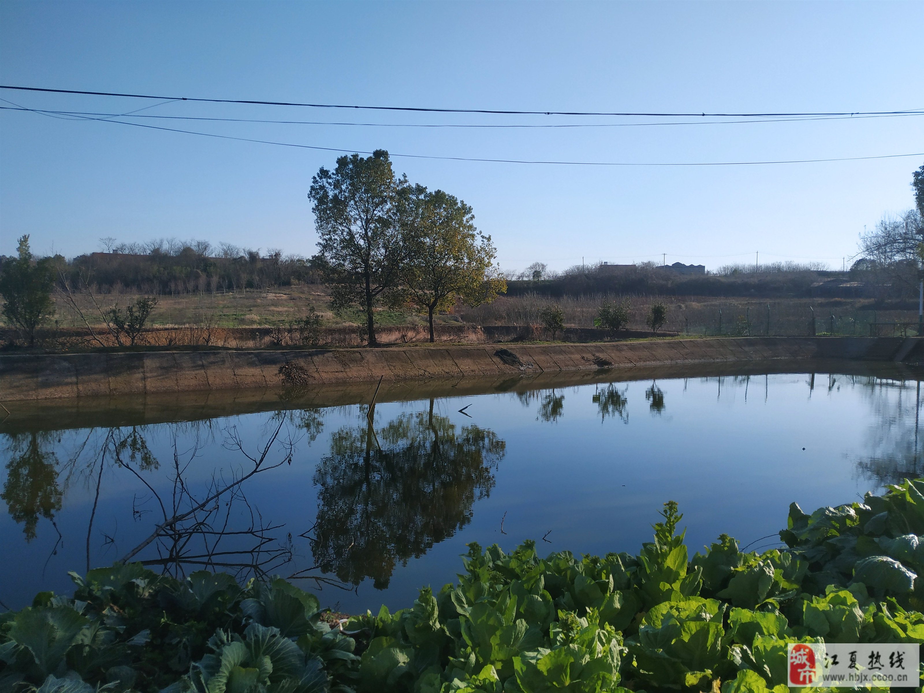 颍上县杨湖镇新闻热点与自然美景探索,重拾内心宁静的旅程