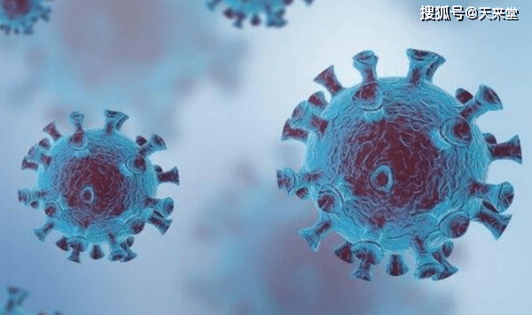 香港祈福党最新动态,自然之旅寻求内心平和与宁静