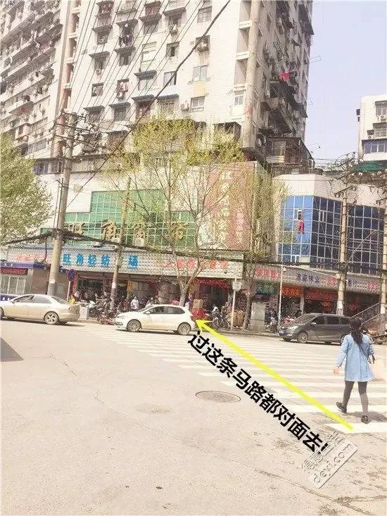 白马视角下的巷弄深处,最新文章与特色小店的独特魅力