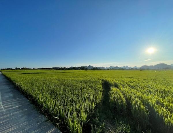 贵安新区高峰镇最新动态与消息速递📣🌆