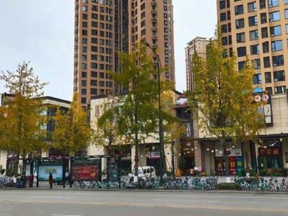 润扬观澜鹭岛最新价格，科技与生活的融合，梦想与现实同步展现