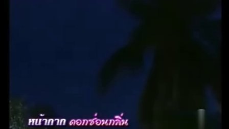 阿提查最新电视剧,日常温馨趣事与友情的纽带