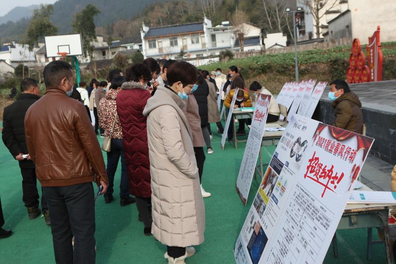 淮安台丰塑胶最新招聘日常及趣闻