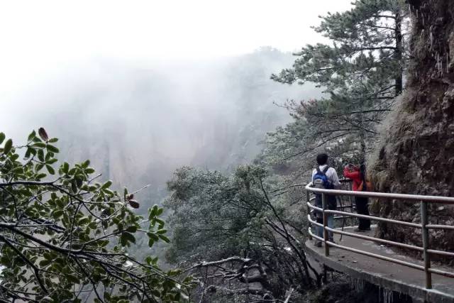 风流青云路,与自然美景的邂逅与内心平和之旅