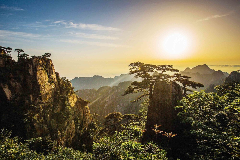 澳门黄山事件最新进展与小巷美食秘境揭秘